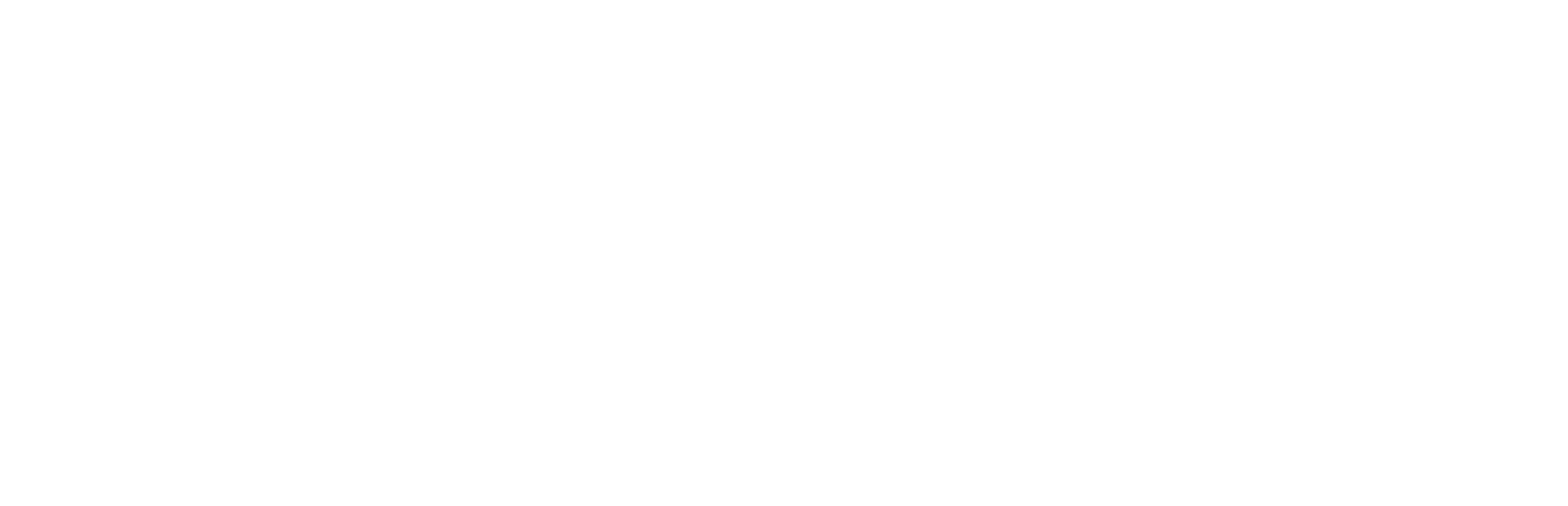 Logo weiß von HC